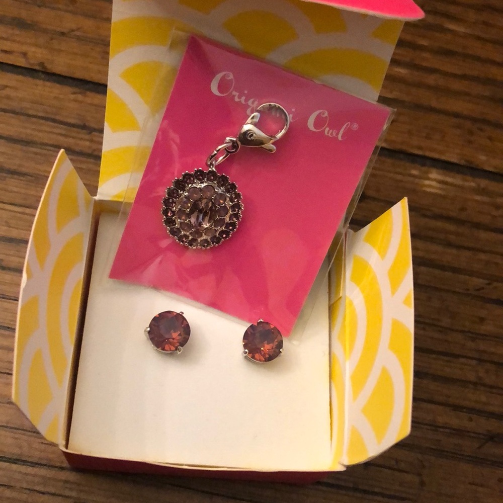 Origami Owl Earrings and Charm